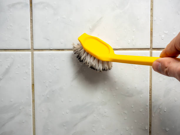 Best Affordable Mold Removal  in Canon, GA