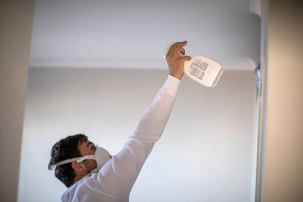 Best Professional Mold Removal  in Canon, GA