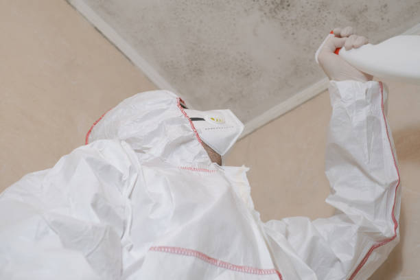 Best Residential Mold Removal  in Canon, GA