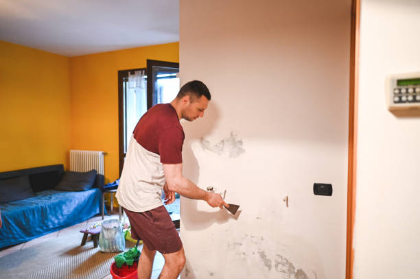 Best Fast Mold Removal  in Canon, GA